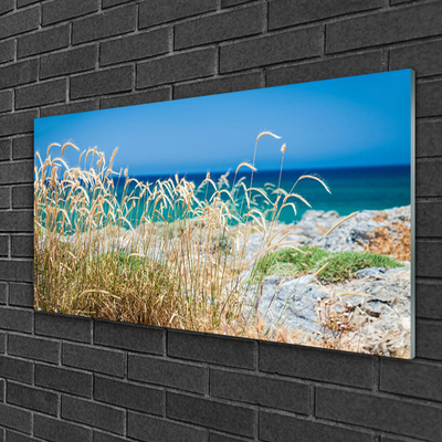 Glas schilderij Strandlandschappen