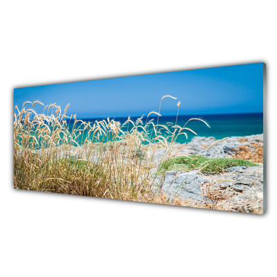 Glas schilderij Strandlandschappen