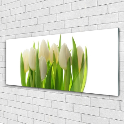 Glas schilderij Plant tulpen natuur