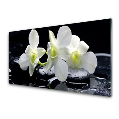 Glas schilderij Witte orchidee bloem