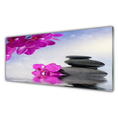 Glas schilderij Orchideebloemen plant
