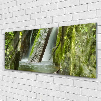 Glas schilderij Waterval natuur