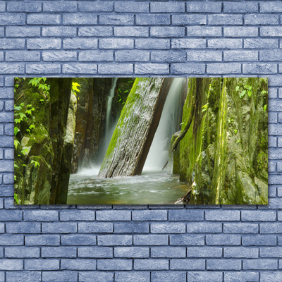 Glas schilderij Waterval natuur