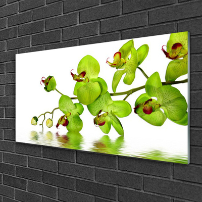 Glas schilderij Bloemen plant nature