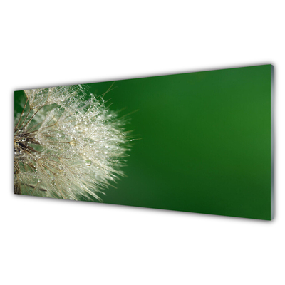Glas schilderij Paardebloem plant