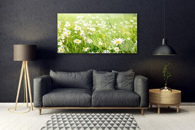 Glas schilderij Daisy meadow nature