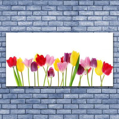 Glas schilderij Tulpen bloemen plant
