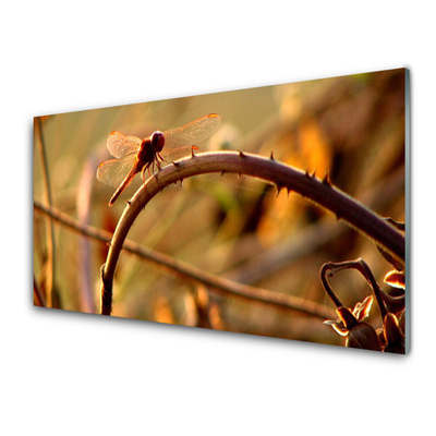Glas schilderij Dragonfly natuur plant