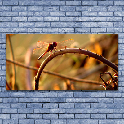 Glas schilderij Dragonfly natuur plant