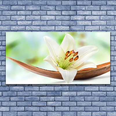 Glas schilderij Natuur bloem plant