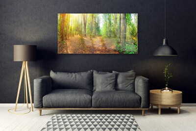 Glazen schilderij Nature bosbomen