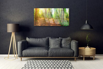 Glazen schilderij Nature bosbomen