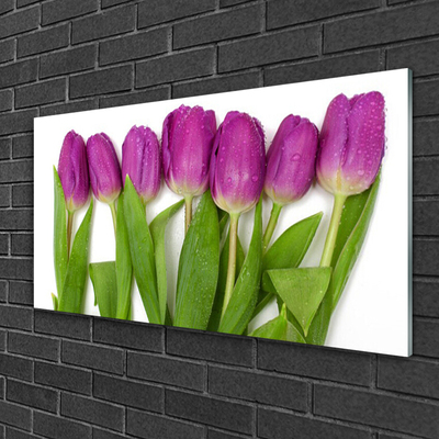 Glazen schilderij Tulpen bloemen plant