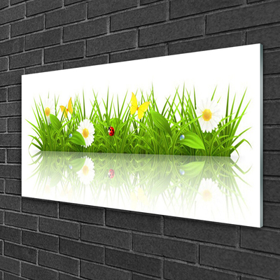 Glazen schilderij Grass nature plant