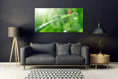 Glazen schilderij Gras lieveheersbeestje nature
