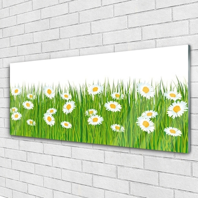 Glazen schilderij Grass daisies nature