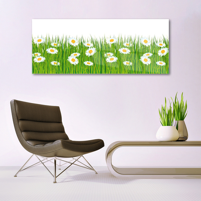 Glazen schilderij Grass daisies nature