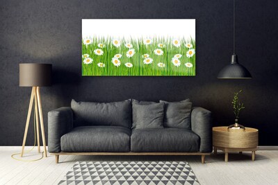 Glazen schilderij Grass daisies nature