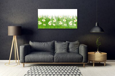 Glazen schilderij Grass daisies nature