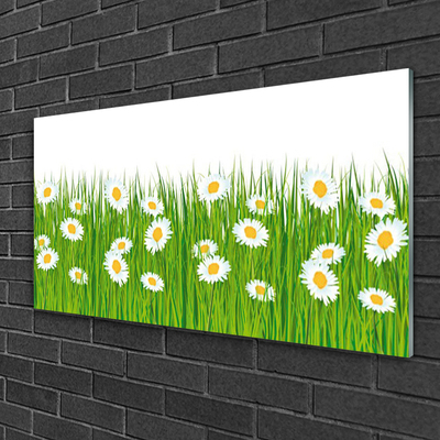 Glazen schilderij Grass daisies nature