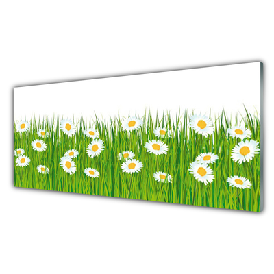 Glazen schilderij Grass daisies nature