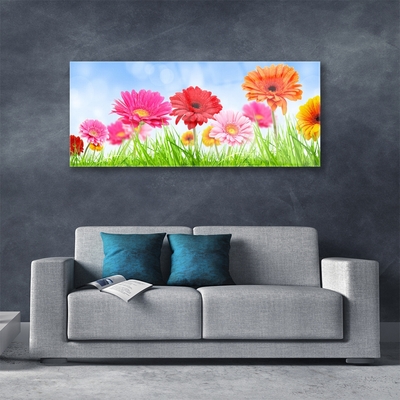 Glazen schilderij Bloemen grass plant