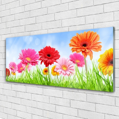 Glazen schilderij Bloemen grass plant