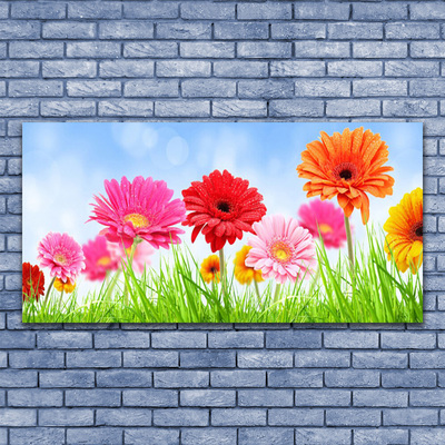 Glazen schilderij Bloemen grass plant