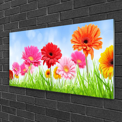 Glazen schilderij Bloemen grass plant