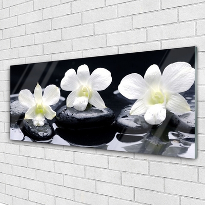 Glazen schilderij Orchid plant stones