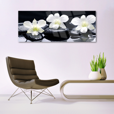 Glazen schilderij Orchid plant stones