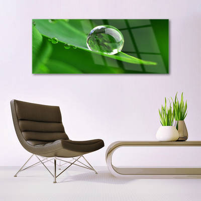 Glazen schilderij Plant leaf water drops