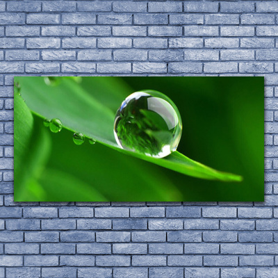 Glazen schilderij Plant leaf water drops
