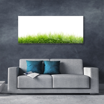 Glazen schilderij Grass nature plant