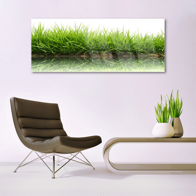 Glazen schilderij Grass nature water plant