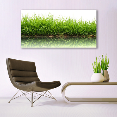 Glazen schilderij Grass nature water plant
