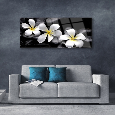 Glazen schilderij Plumeria bloem plant