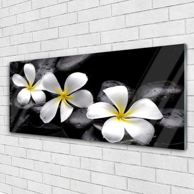 Glazen schilderij Plumeria bloem plant