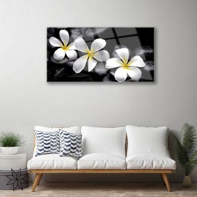 Glazen schilderij Plumeria bloem plant