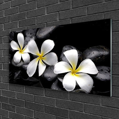 Glazen schilderij Plumeria bloem plant