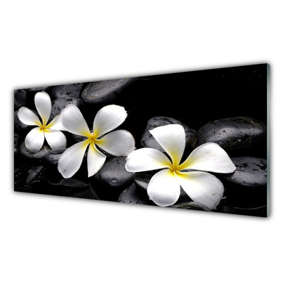 Glazen schilderij Plumeria bloem plant