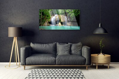 Glazen schilderij Boom natuur van de waterval