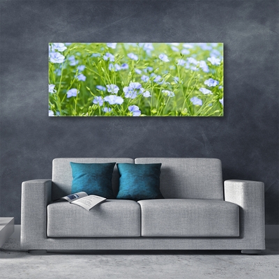 Glazen schilderij Bloemen plant grass nature