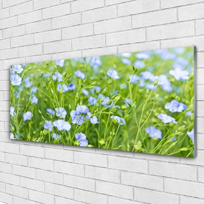 Glazen schilderij Bloemen plant grass nature