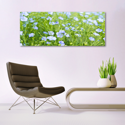 Glazen schilderij Bloemen plant grass nature