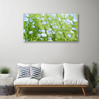 Glazen schilderij Bloemen plant grass nature