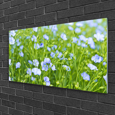 Glazen schilderij Bloemen plant grass nature