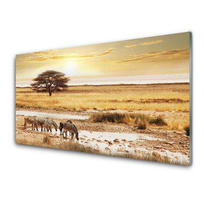 Glazen schilderij Zebra safari landschap