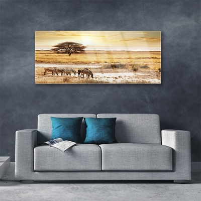 Glazen schilderij Zebra safari landschap