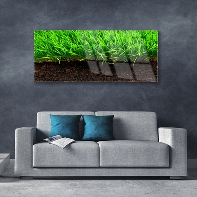 Glazen schilderij Grass nature plant